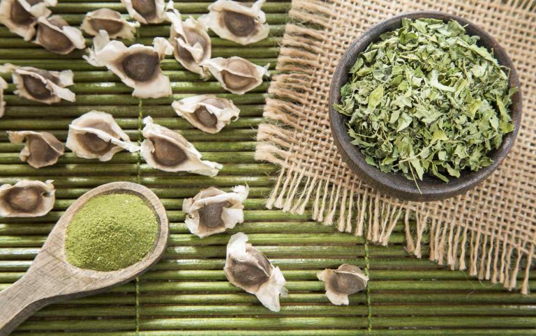 moringa